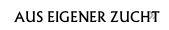 AUS EIGENER ZUCHT 