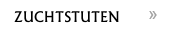 ZUCHTSTUTEN 