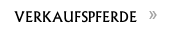 VERKAUFSPFERDE 