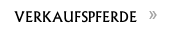 VERKAUFSPFERDE 